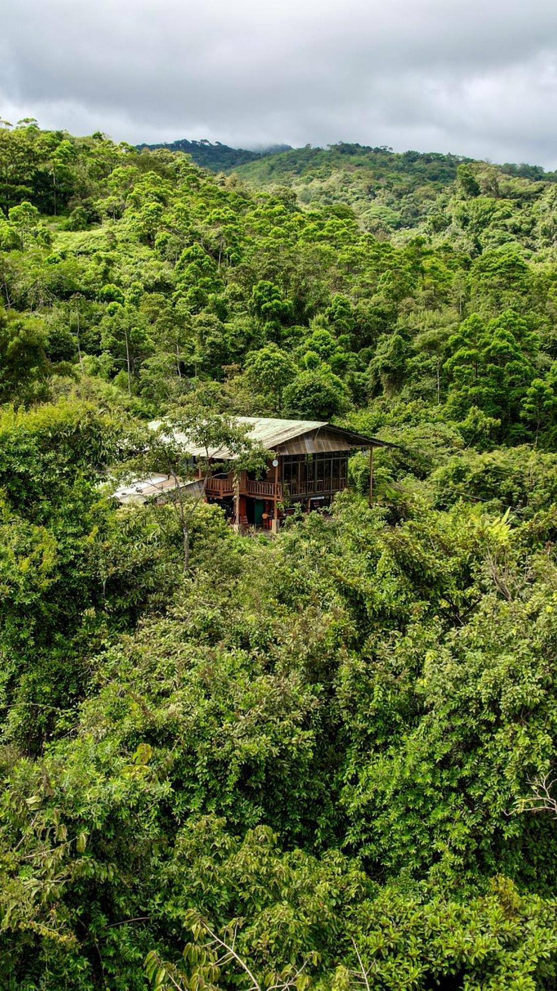La Tigra Birds & Breakfast Costa Rica住宿加早餐旅馆 外观 照片